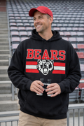 Bears Stadium Hoodie